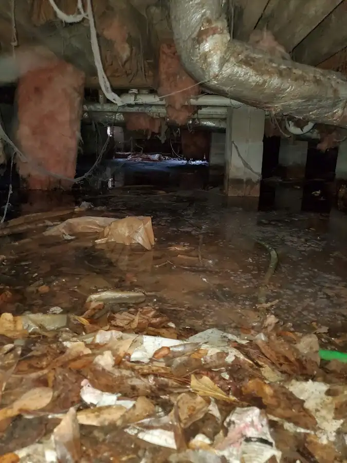 Crawl space flood assessment for Leak Detection & Repair in Shawnee